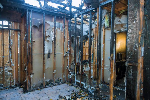Professional Smoke Damage Restoration technician working in Valrico, FL
